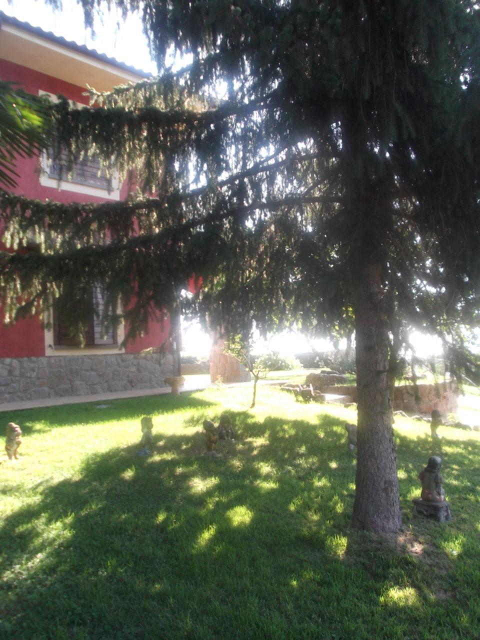 Agriturismo Casal Grande Canepina Exteriér fotografie